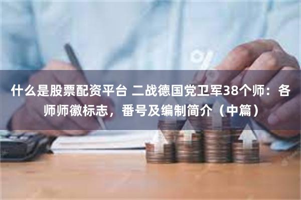 什么是股票配资平台 二战德国党卫军38个师：各师师徽标志，番号及编制简介（中篇）