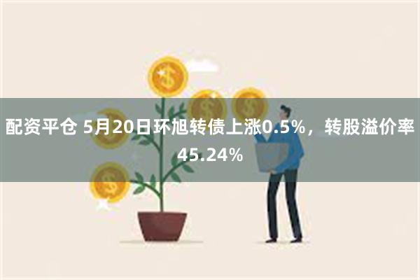 配资平仓 5月20日环旭转债上涨0.5%，转股溢价率45.24%