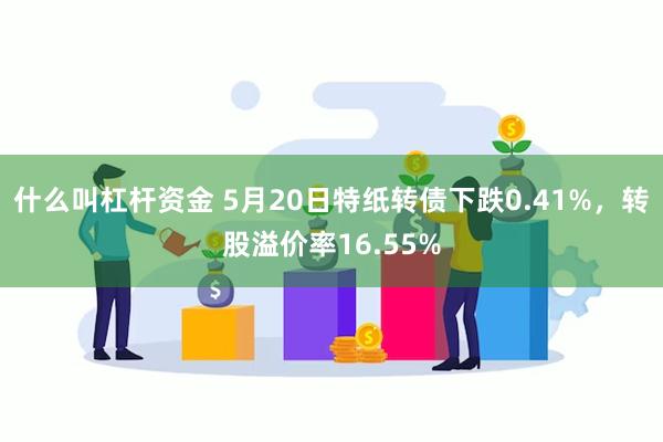 什么叫杠杆资金 5月20日特纸转债下跌0.41%，转股溢价率16.55%