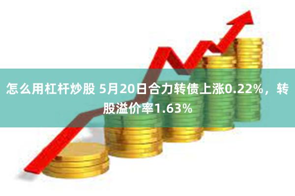 怎么用杠杆炒股 5月20日合力转债上涨0.22%，转股溢价率1.63%