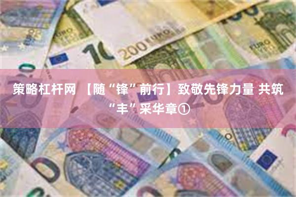 策略杠杆网 【随“锋”前行】致敬先锋力量 共筑“丰”采华章①