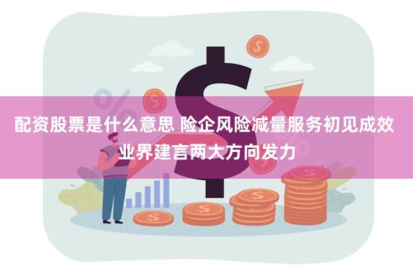 配资股票是什么意思 险企风险减量服务初见成效 业界建言两大方向发力