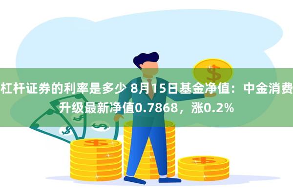 杠杆证券的利率是多少 8月15日基金净值：中金消费升级最新净值0.7868，涨0.2%