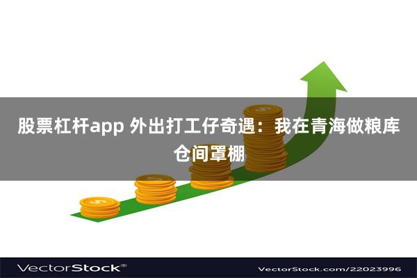 股票杠杆app 外出打工仔奇遇：我在青海做粮库仓间罩棚