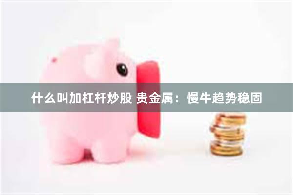 什么叫加杠杆炒股 贵金属：慢牛趋势稳固