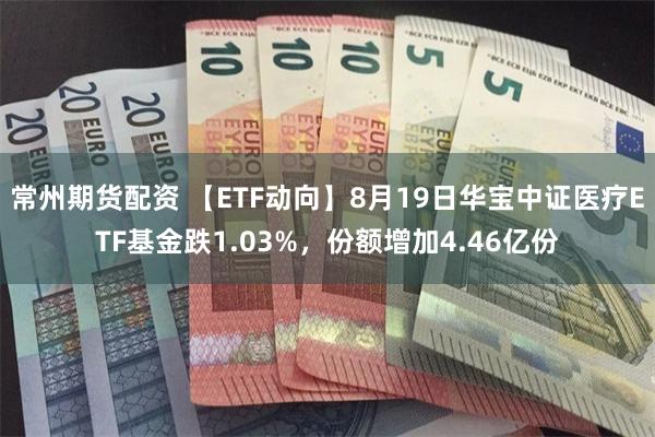 常州期货配资 【ETF动向】8月19日华宝中证医疗ETF基金跌1.03%，份额增加4.46亿份