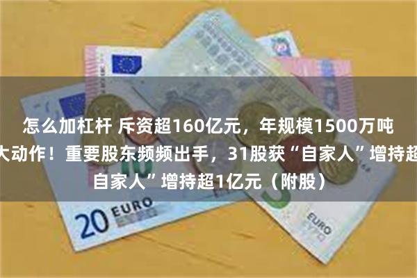 怎么加杠杆 斥资超160亿元，年规模1500万吨，能源白马股大动作！重要股东频频出手，31股获“自家人”增持超1亿元（附股）