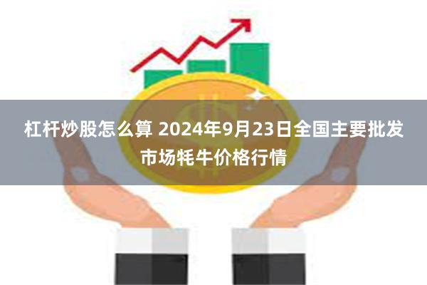 杠杆炒股怎么算 2024年9月23日全国主要批发市场牦牛价格行情