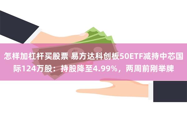 怎样加杠杆买股票 易方达科创板50ETF减持中芯国际124万股：持股降至4.99%，两周前刚举牌