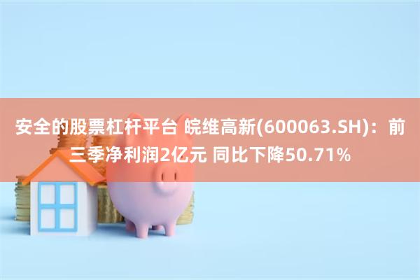 安全的股票杠杆平台 皖维高新(600063.SH)：前三季净利润2亿元 同比下降50.71%