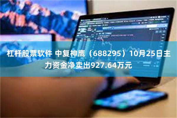 杠杆股票软件 中复神鹰（688295）10月25日主力资金净卖出927.64万元